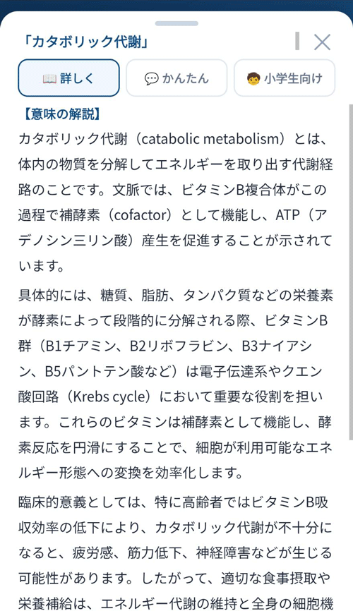論文：詳しい解説の例