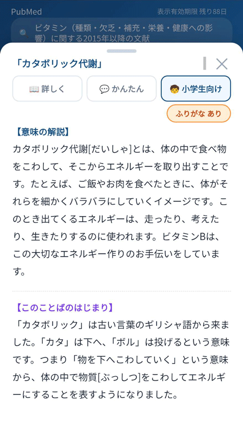 論文：小学生向け解説の例