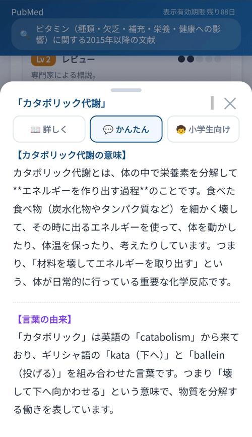 論文：かんたんな解説の例